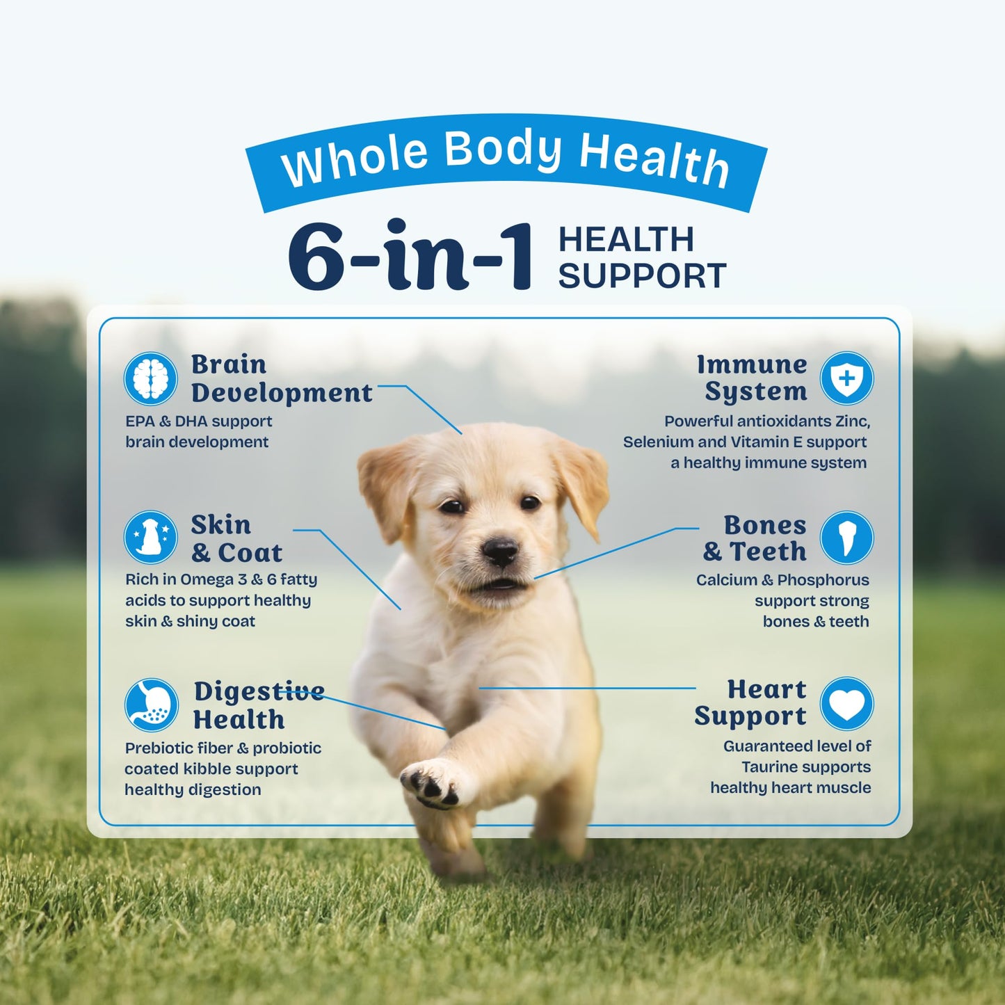 Natural Balance Health Protection Puppy Dry Dog Food – Whole Body Health, Easy on Digestion Dog Food Made with Chicken, Brown Rice & Pumpkin for Puppies - 4lbs.