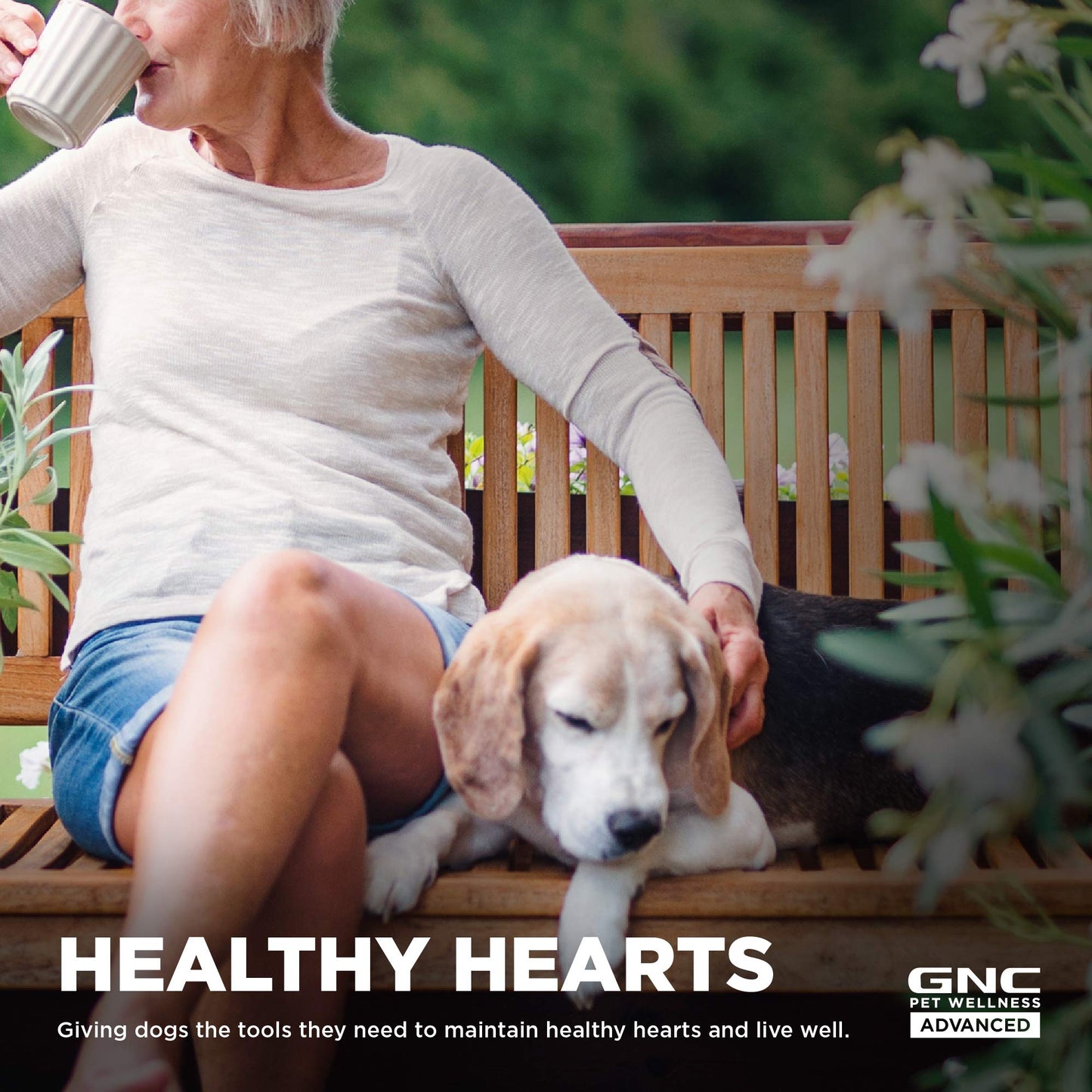 GNC Pets Advanced Dog Supplements, Cardiovascular Support & Heart Health Chews for Dogs, Soft Pet Supplement Made in USA, Cardio Vitamins & Easy to Chew Canine Essentials, 90 Count