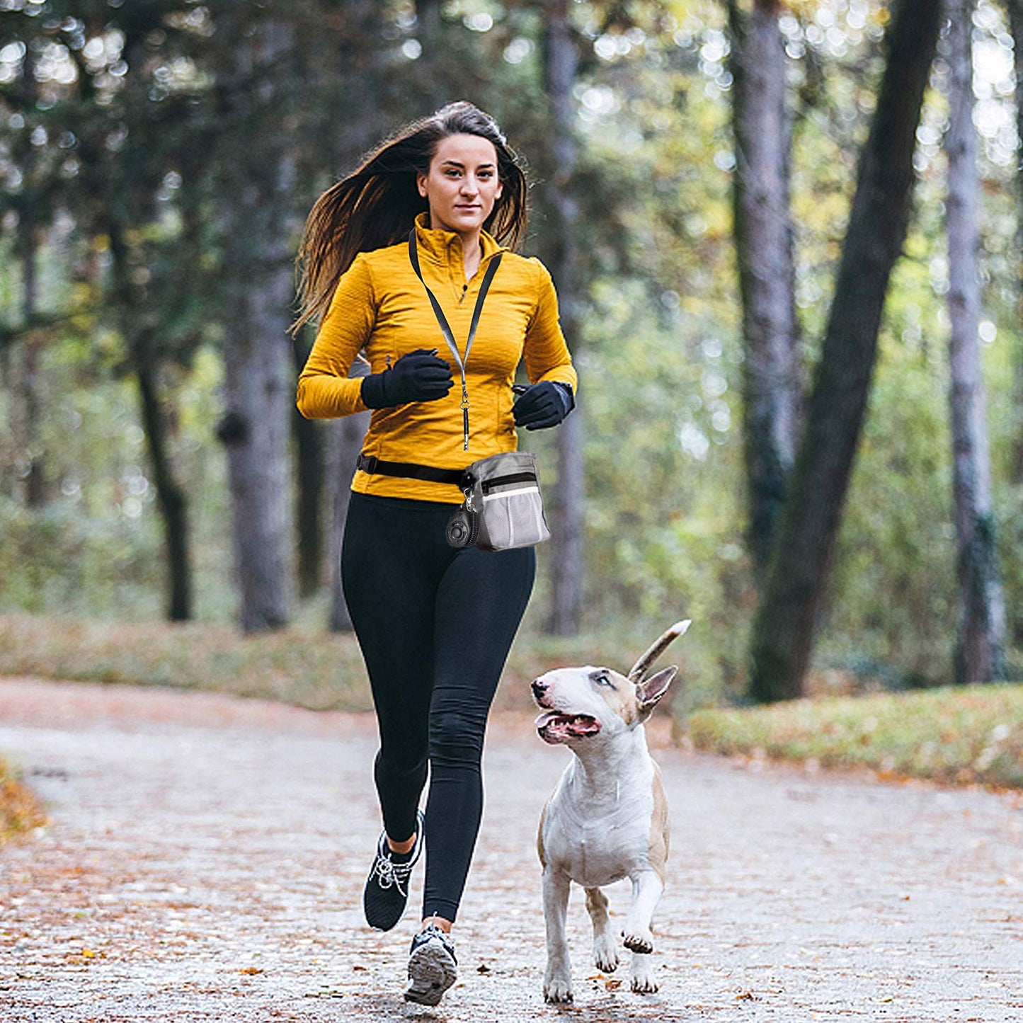 D-BUY 4-in-1 Dog Training Set, Puppy Training Treats- Dog Treat Training Pouch, Bark Control Whistle, Dog Doorbells, Dog Clicker, Ideal Gift for First Time Pet Owners, Training Dog Owners (Gray)