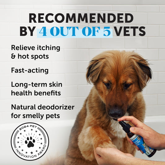 Chlorhexidine Shampoo + Restore + Soothe Hot Spot Spray Essential Skin Care Bundle - Seasonal Itch Relief for Allergies, Soothes Itching with Aloe and Microsilver
