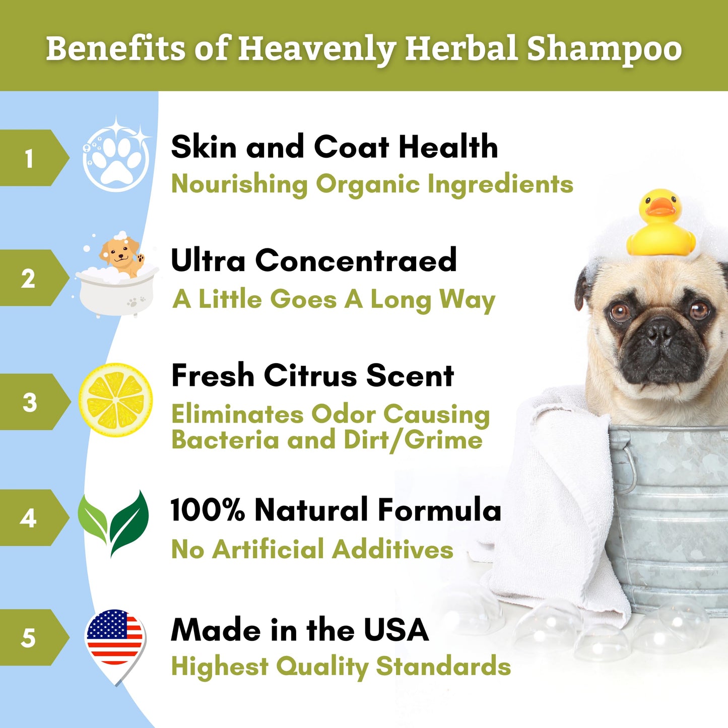 Wholistic Pet Organics Pet Shampoo Concentrate: Heavenly Herbal Organic Dog Shampoo and Conditioner - All Natural Puppy and Cat Shampoo for Dry, Itchy Skin, Allergies, Dandruff Shampoo