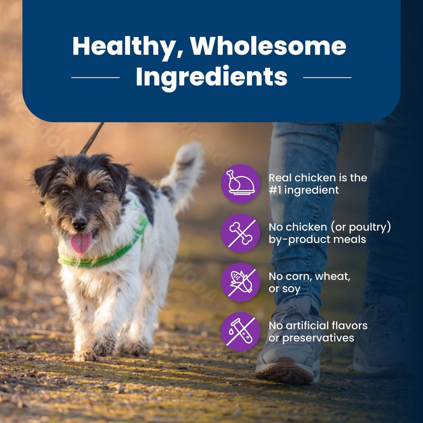 Blue Buffalo Life Protection Formula Toy Breed Adult Dry Dog Food, Supports High Energy Needs, Made with Natural Ingredients, Chicken & Brown Rice Recipe, 4-lb Bag