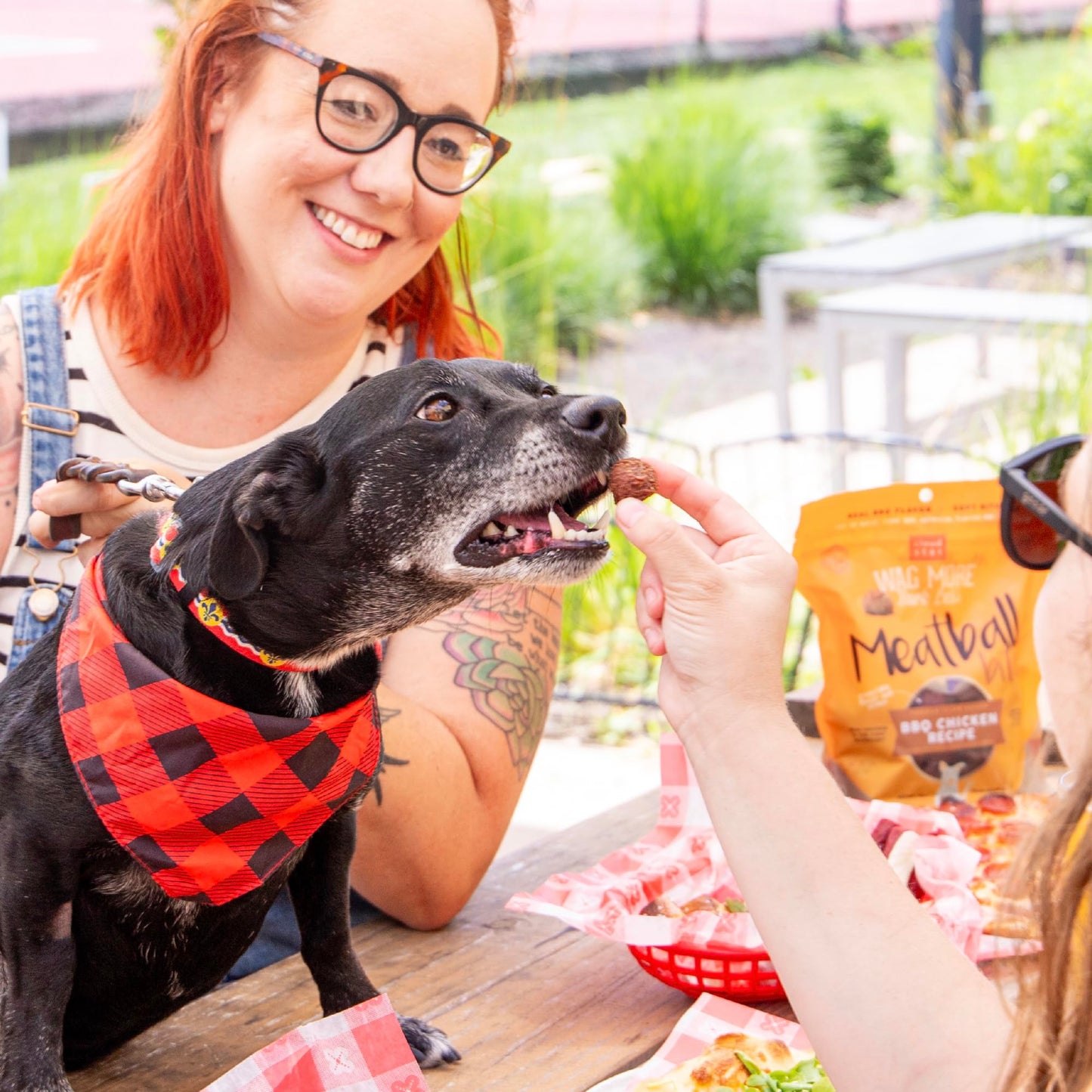 Cloud Star Wag More Bark Less Grain Free Meatball Bites, BBQ Chicken Recipe, 14 oz.