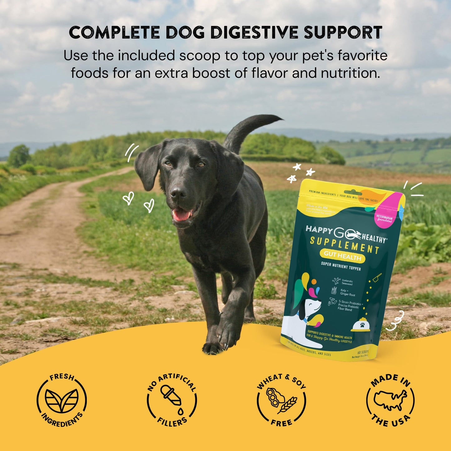 Happy Go Healthy Dog Gut Health Probiotics Supplement | Improves Digestive Health and Immune System Support for Dogs and Puppies | All Natural Ingredients Tasty Kibble Dog Food Topper | 60 Count Pack