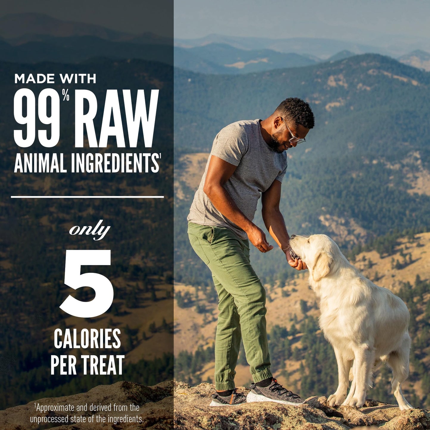 ORIJEN Grain Free High Protein Freeze Dried Dog Treats Tundra Recipe 3.25oz Bag