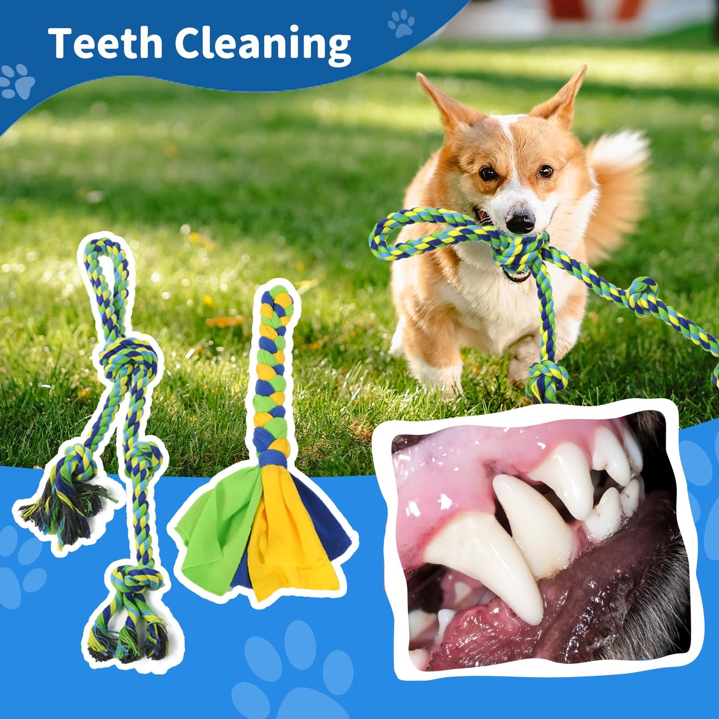 Outdoor Tug of War Dog Toy, Interactive Dog Toys with Chew Rope Toy Outside Play Equipment for Medium and Large Dogs in Yard, Park and Playground Self Play