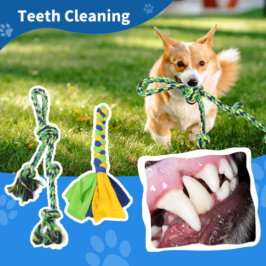 Outdoor Tug of War Dog Toy, Interactive Dog Toys with Chew Rope Toy Outside Play Equipment for Medium and Large Dogs in Yard, Park and Playground Self Play