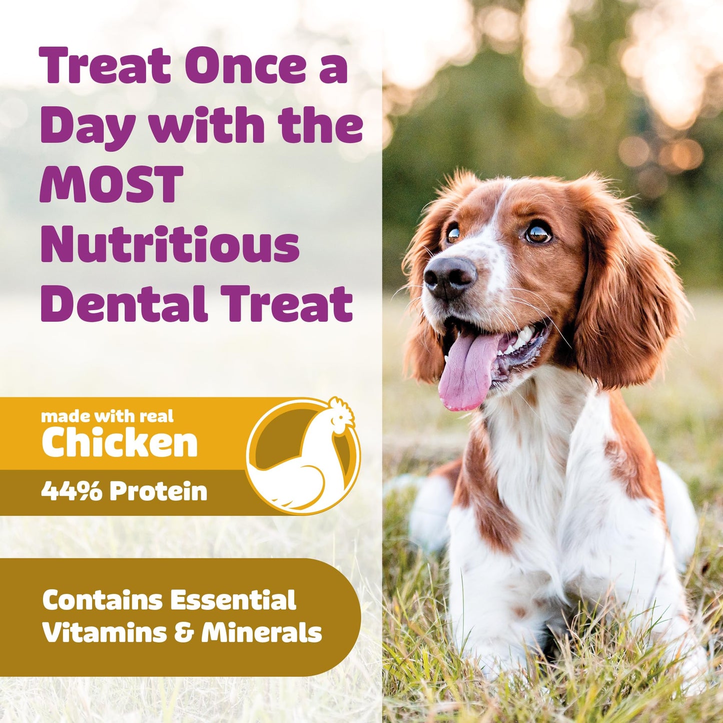 Yummy Combs Dog Dental Treats – Vet VOHC Approved – Delicious Chicken Protein – Removes Tartar with Cleaning Comb Shape – Dental Dog Treats for Extra Large Dogs (12oz, 6 Count)