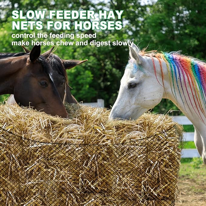 Tongmo 6x6 ft Round Bale Hay Net for Horses & Livestock - Slow Feeder Hay Nets with 2 inches Hole