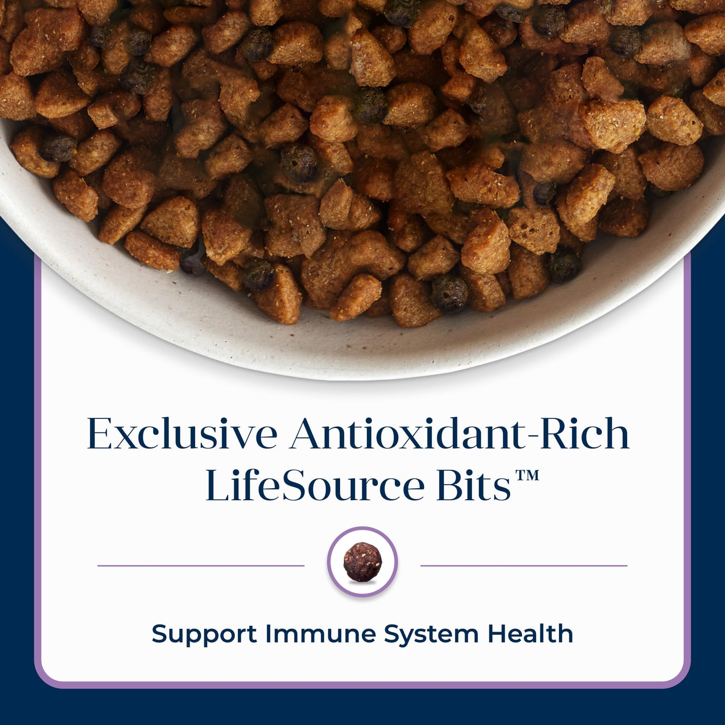 Blue Buffalo Basics Dry Dog Food for Small Breed Adult Dogs, Limited Ingredient Diet, Turkey Recipe, 11-lb. Bag