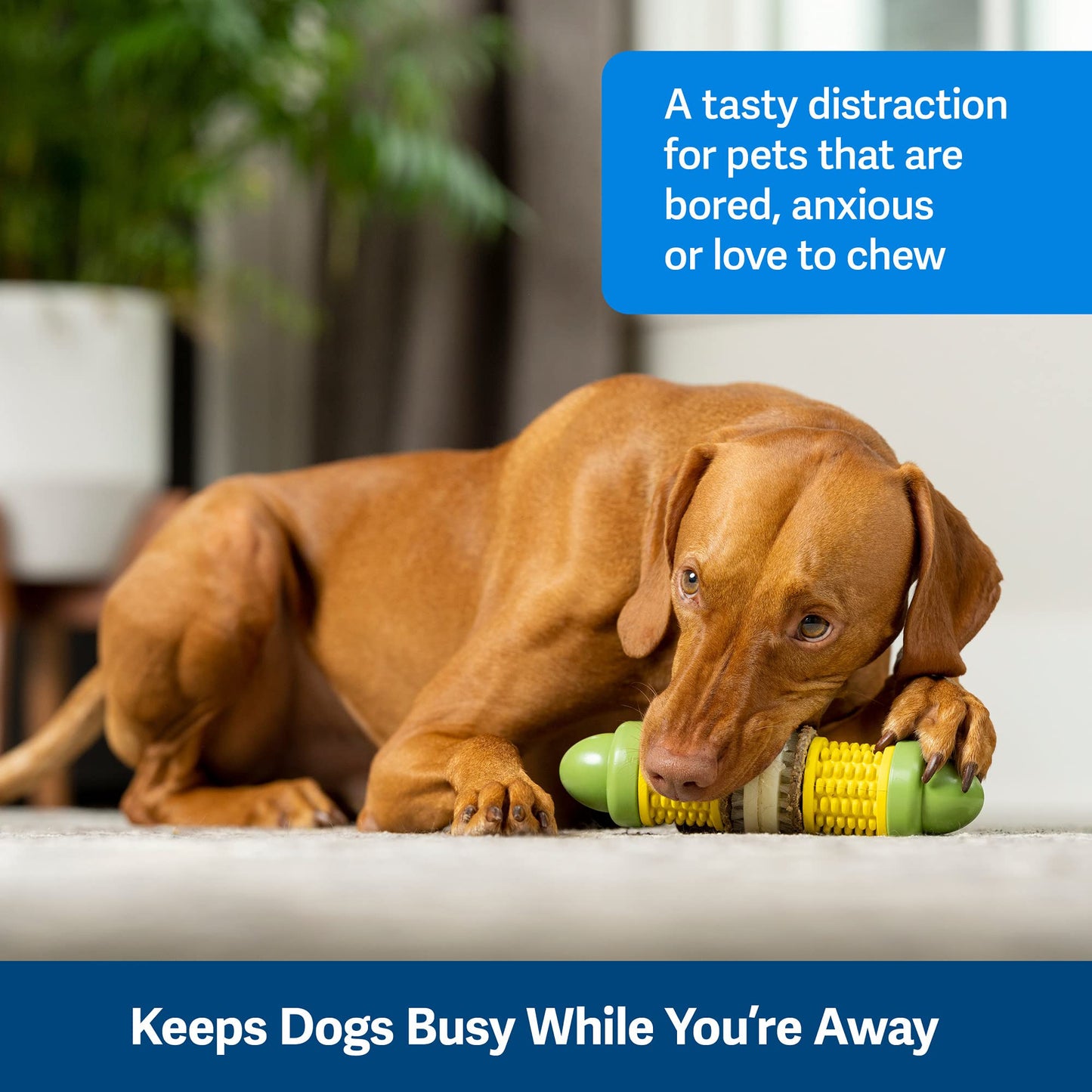PetSafe Busy Buddy Cravin' Corn - Adjustable Slow Feeder Toy with Refillable Treat Rings - Cleans Teeth & Gums, Cures Boredom & Slows Down Eating Habits - Medium/Large - for Dogs 50+ lb