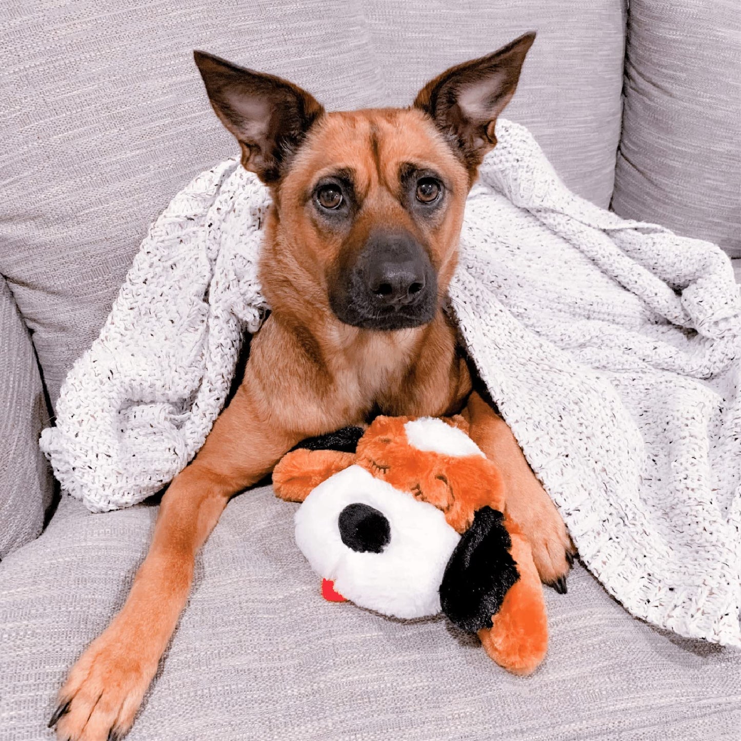 Original Snuggle Puppy Toys - Heartbeat Puppy for Dogs - Pet Anxiety Relief and Calming Aid - Comfort Dog Toys for Behavioral Training - Plus 6 Heat Packs