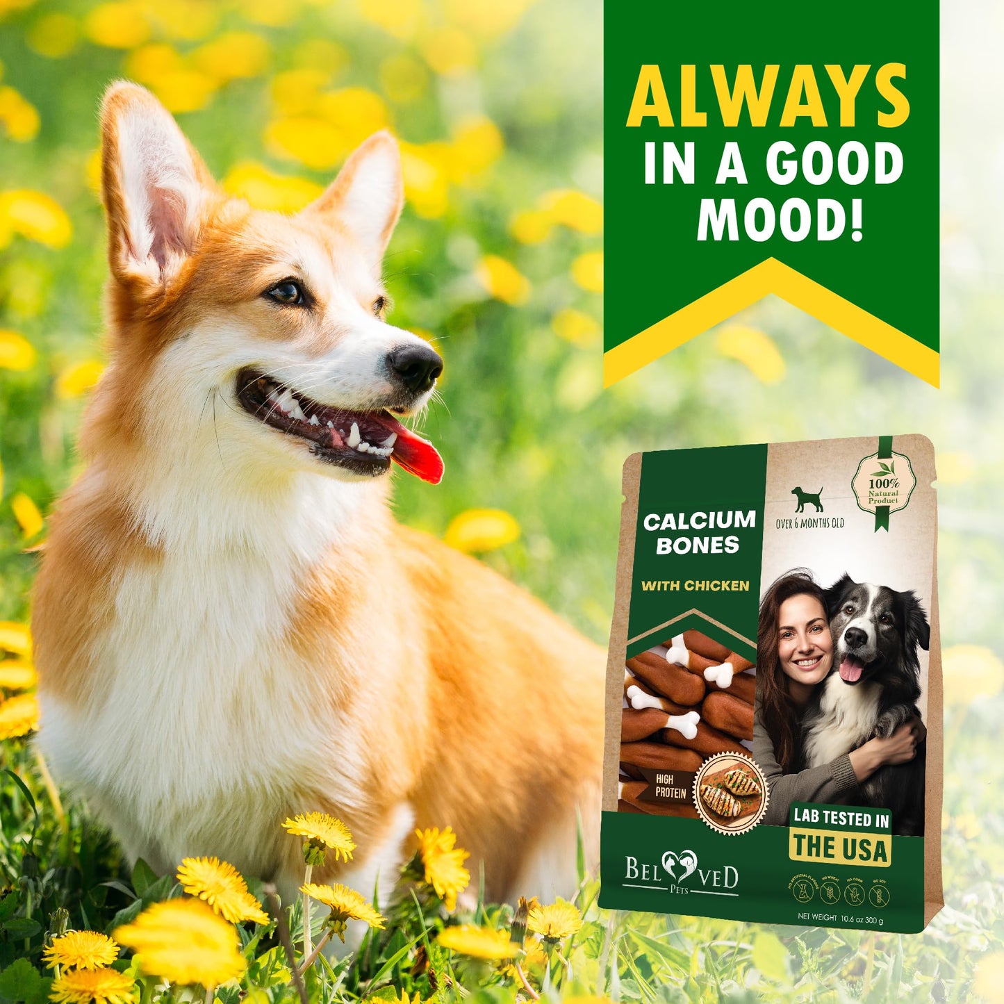 Beloved Pets Dog Treats, Calcium Bones Wrapped Chicken & Rawhide Free Chew 11Oz - Pet Healthy Dried Snacks & Grain Free Meat - Bulk Best Chews for Christmas, Training Small & Large Dogs - Made for USA