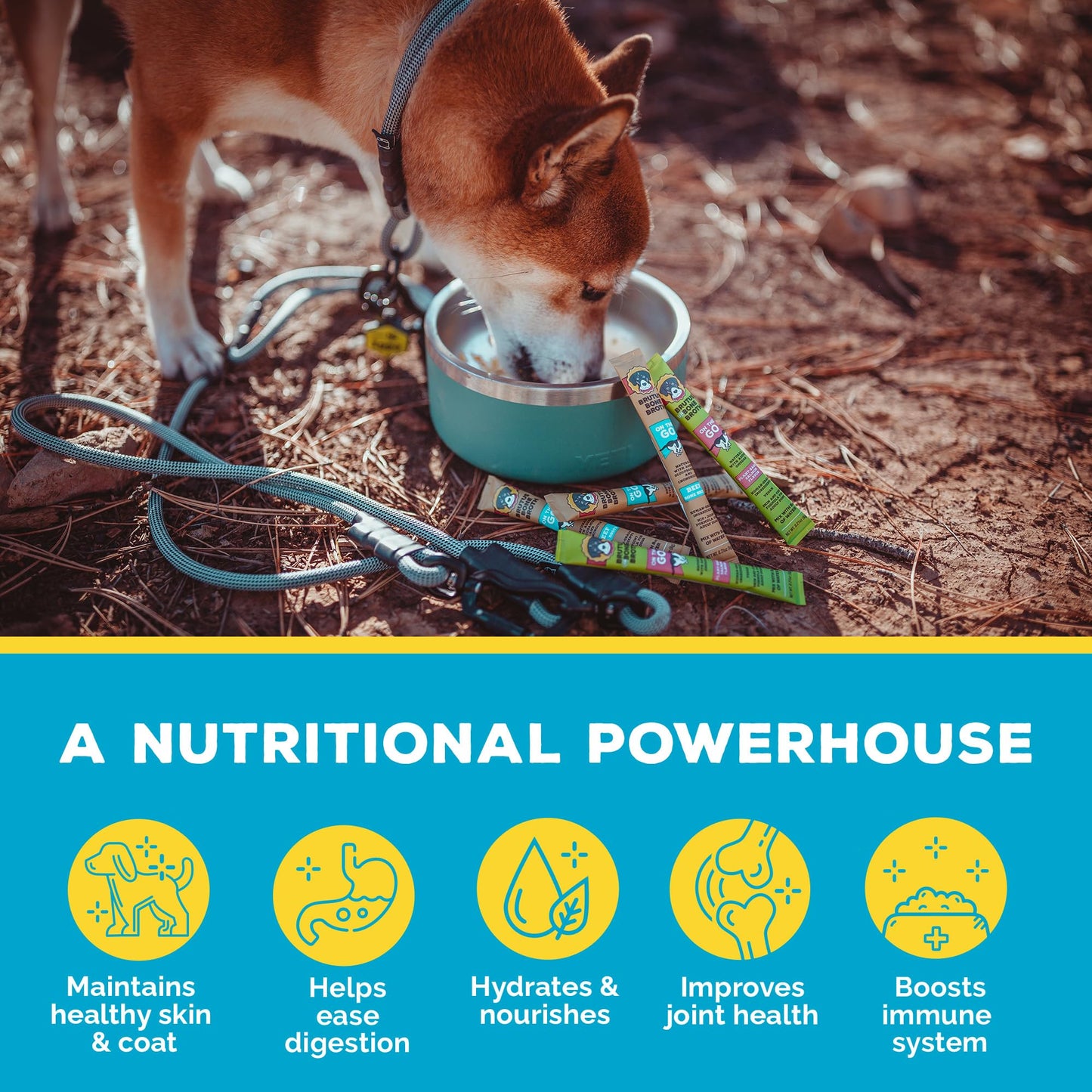 Brutus Bone Broth for Dogs - Bone Broth Powder with Chondroitin Glucosamine & Turmeric - Human Grade Food Toppers for Dry Food & Picky Eaters - 5 Stick (Beef)