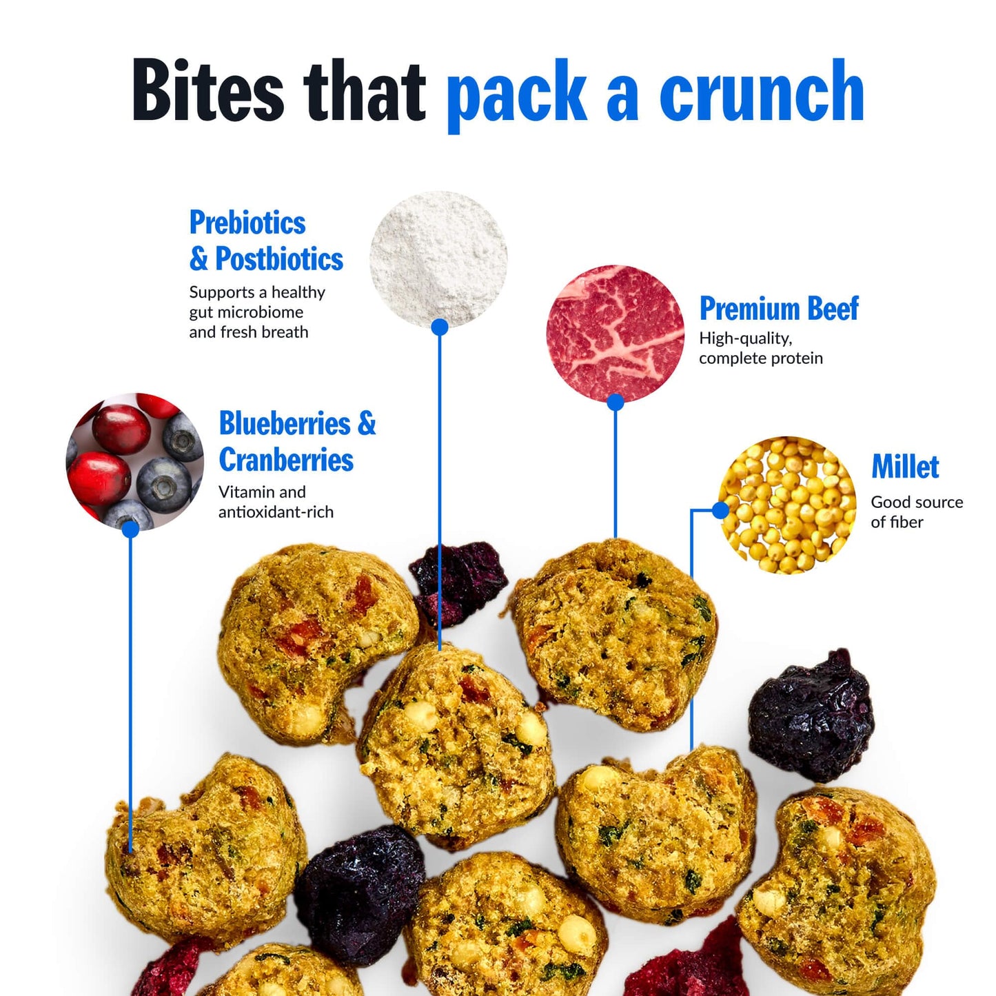 PetPlate Trail Blazin' Beef FreshBaked Dry Dog Food Grain-Inclusive, Gently Baked and Air-Dried Human Grade Dog Food, Formulated with Prebiotics and Postbiotics, No Fillers or by-Products, 2lbs