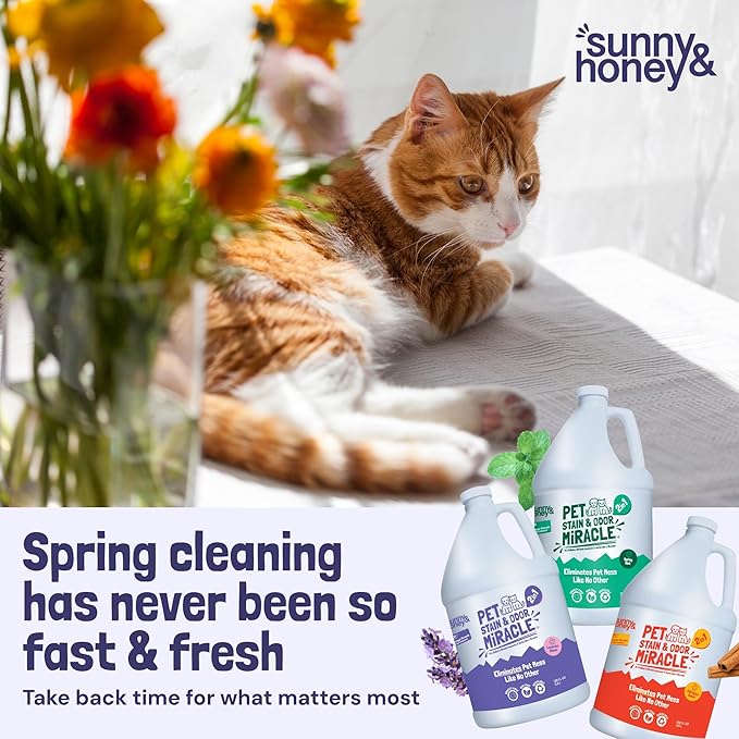 Sunny & Honey Carpet Cleaner & Odor Remover Spray - 128 Fl Oz, Light Lavender Scent - Enzyme Cleaner for Dog Urine & Cat Pee - Pet Stain Remover - Urine Odor Eliminator