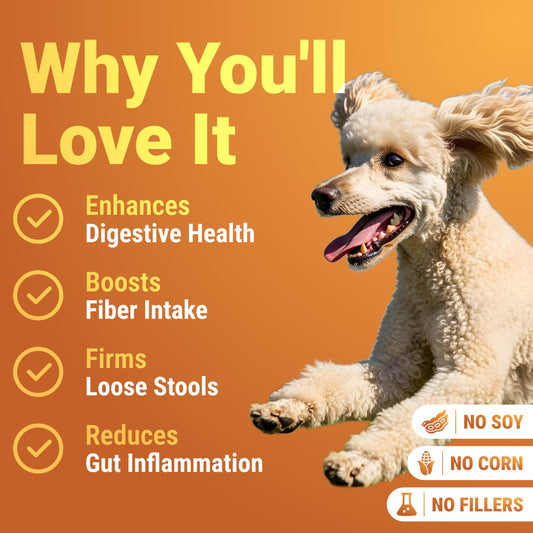 WuffWell Pumpkin Powder for Dogs with Probiotics - Rich in Fiber, Helps with Digestion, Nutrient Absorption, Diarrhea, Constipation & Upset Stomach - Organic Dog Food Topper - Made in USA