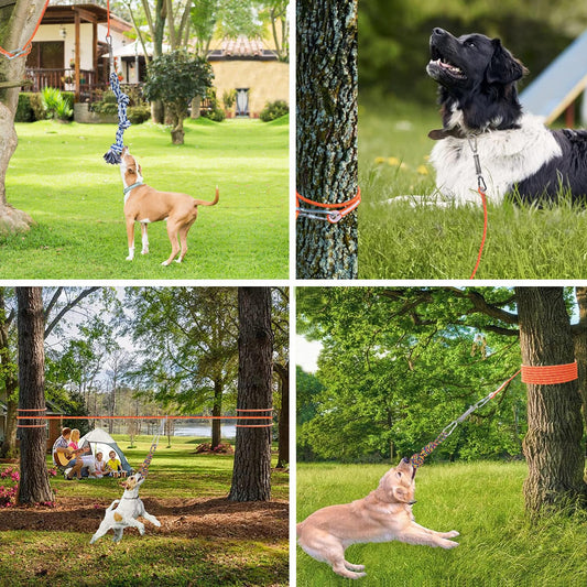 TUAHOO Outdoor Bungee Tug Toy, Dog Toy Hanging from Tree Tugger, Interactive Toy & Spring Pole Tether Tug of War Toys for Pitbull Small to Large Dogs to Exercise Solo Play, 2 Pack Dog Rope Toys