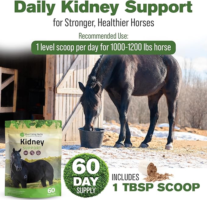 Silver Lining Herbs Kidney Support Supplement for Horses - Horse Supplements for Kidney Health and Bladder Support - Complete with Chamomile, Garlic, Juniper Berry, and More - 1 lb 60-Day Supply