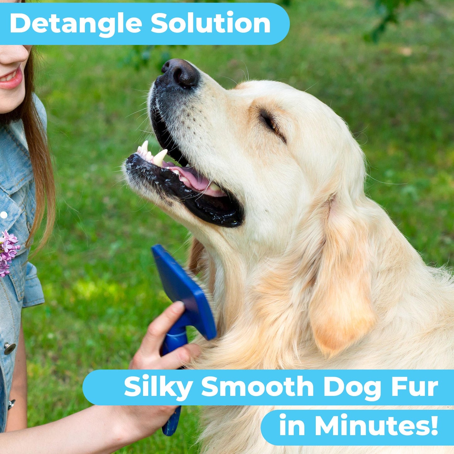 Pawtitas Dog Shampoo and Conditioner All Natural and Hypoallergenic Shampoo for Puppy Made with Certified Organic Natural Herbs Dog Conditioner 16 Oz Dog Shampoo Lavender Chamomile & Goldenseal