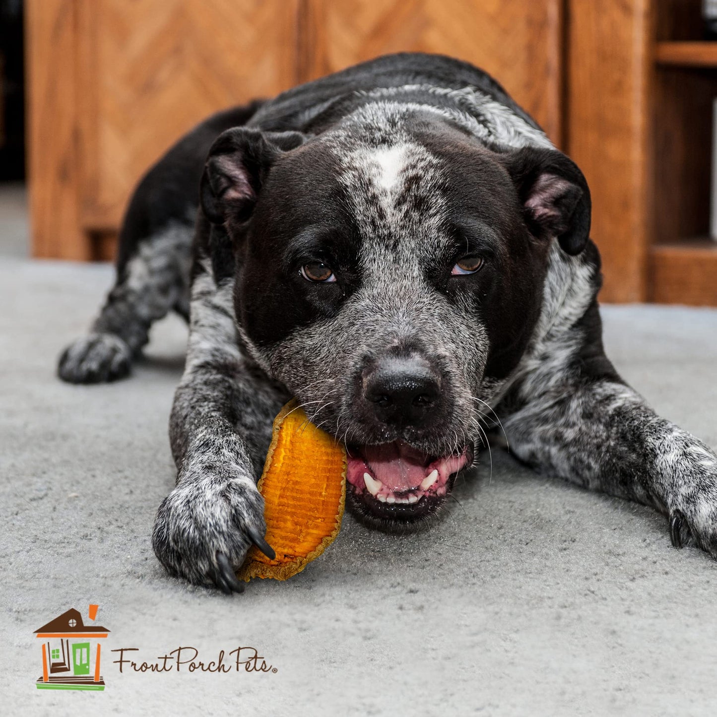 Sams Yams Sweet Potato Dog Treats, Healthy Dog Treats for Large Dogs - Sweet Potato Dog Treats Made in USA, High Fiber, Vegan Dental Chews - Big Boyz, Sweet Potato Dog Chewz, 15oz (Pack of 6)