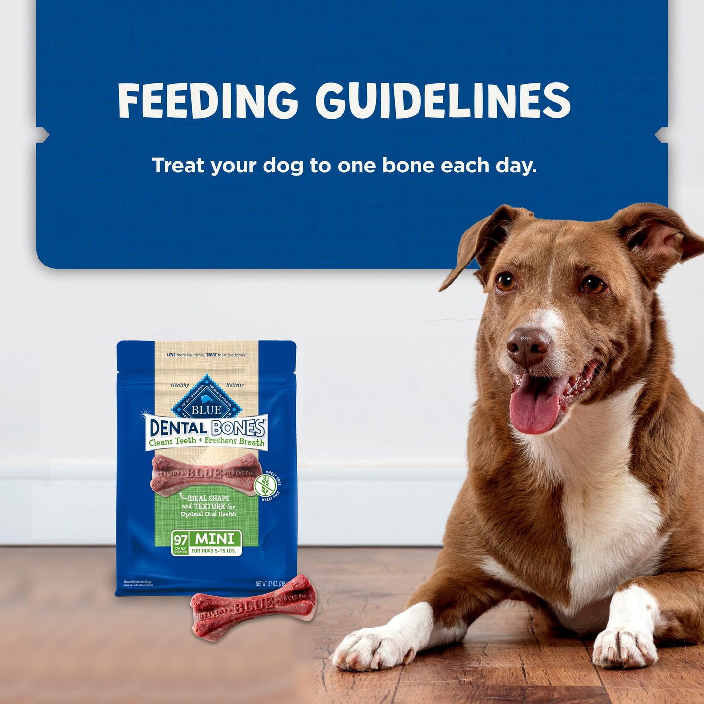 Blue Buffalo Dental Bones Mini Natural Dental Chew Dog Treats Bag Value Pack