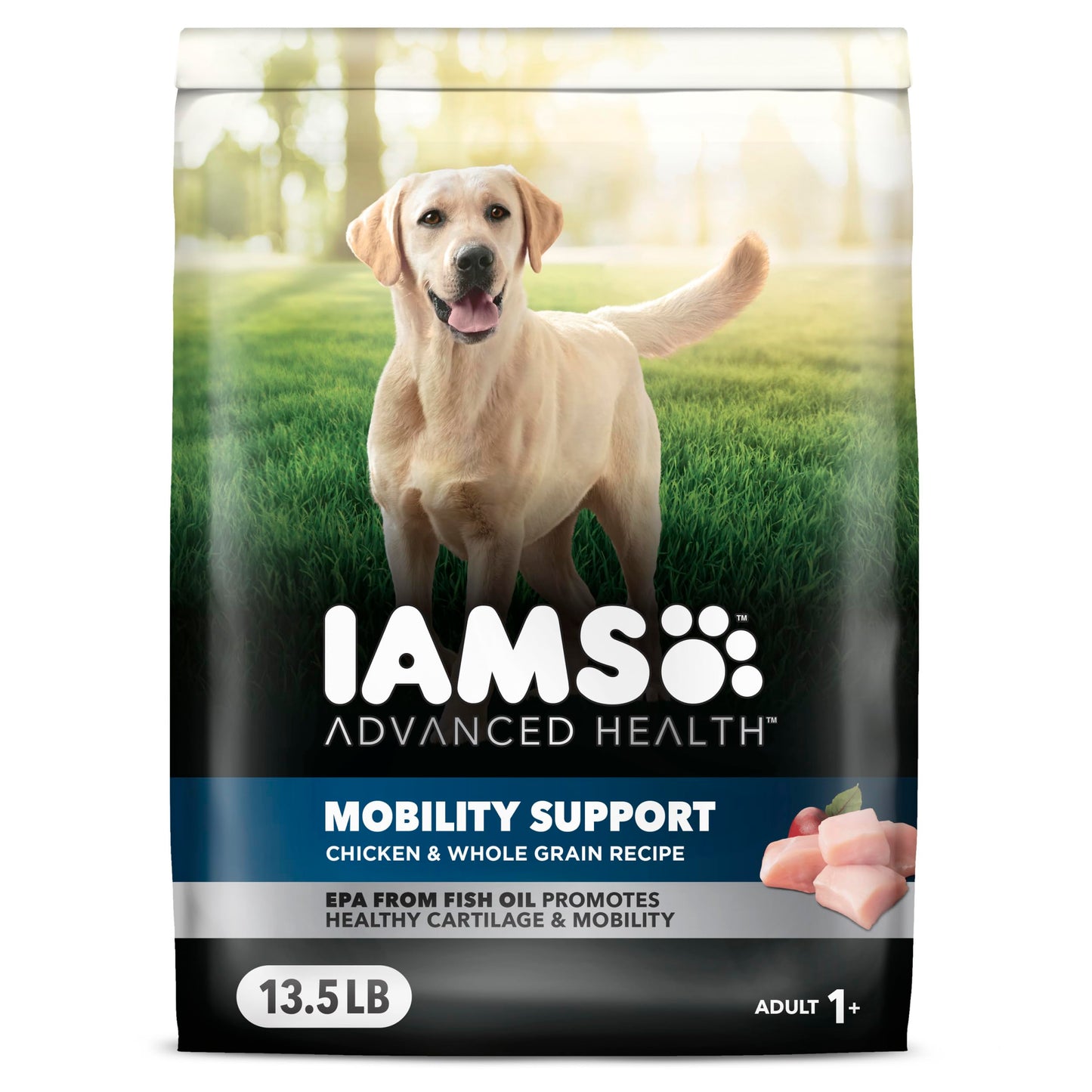 IAMS Advanced Health Mobility Support Chicken and Whole Grain Recipe Adult Dry Dog Food, 13.5 lb. Bag