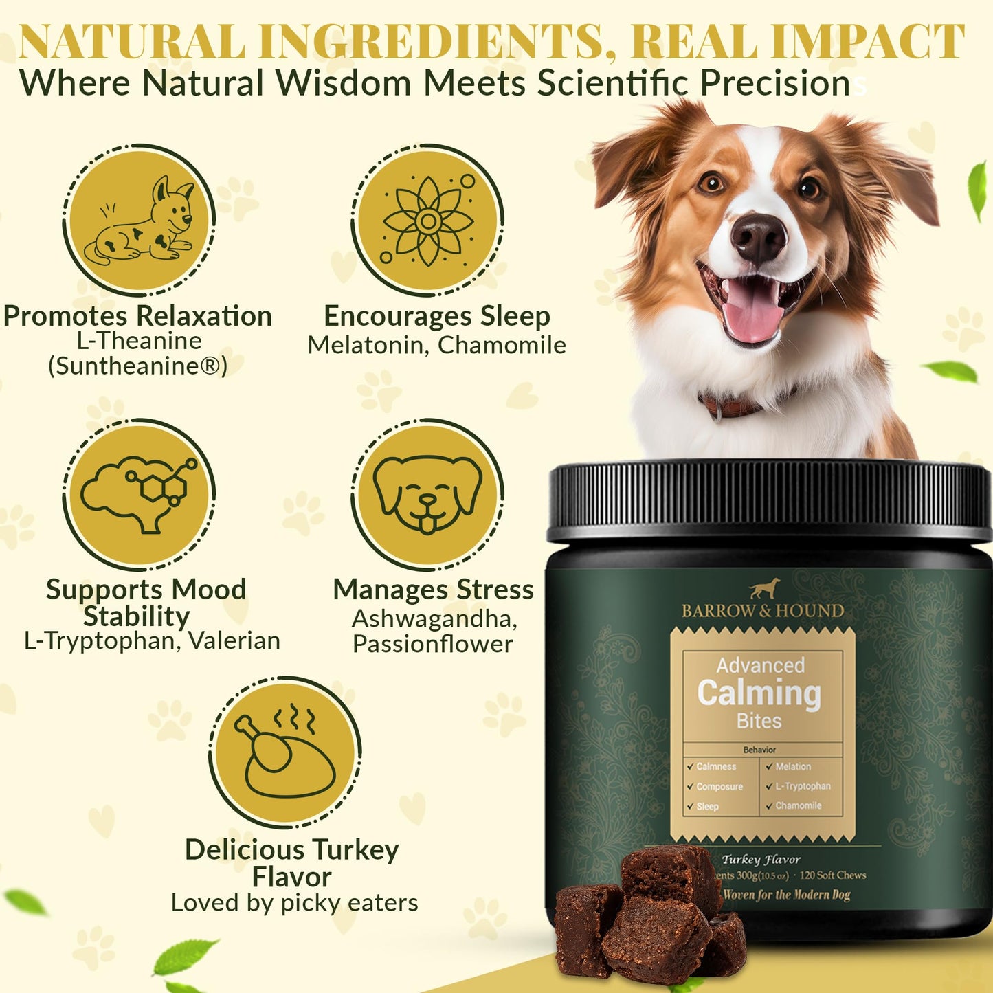 puyrzoe Dog Calming Diffuser with Three Timing Functions, 6-in-1 Dog Pheromones Calming Diffuser Kit, 120-Day Anxiety Relief, Stress Reduction & Relaxation for All Dogs (2 Diffusers + 4 Refills)