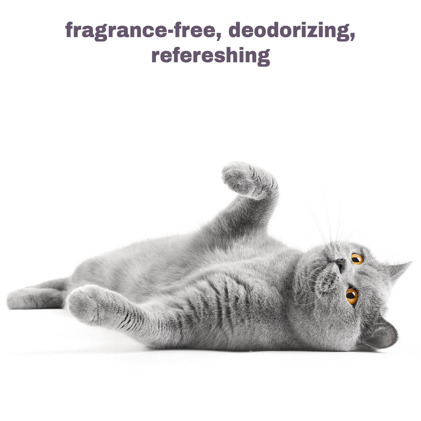 Mighty Meow Soothing Hypoallergenic Cat Shampoo – Easy at-Home Cat Grooming | Deodorizes | Gentle & Anti-Itch | Natural & Allergy-Safe Cat Shampoo Sensitive Skin – Fragrance Free | 9 fl oz