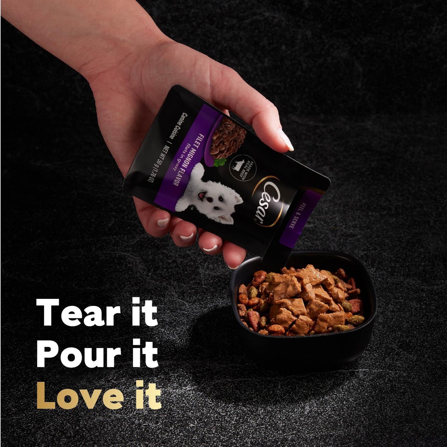 Cesar Filets in Gravy Wet Dog Food Filet Mignon Flavor, Rotisserie Chicken Flavor, and Wood-Grilled Chicken Flavor Variety Pack, 1.76 oz. Mini-Pouches (40 Count, Pack of 1)