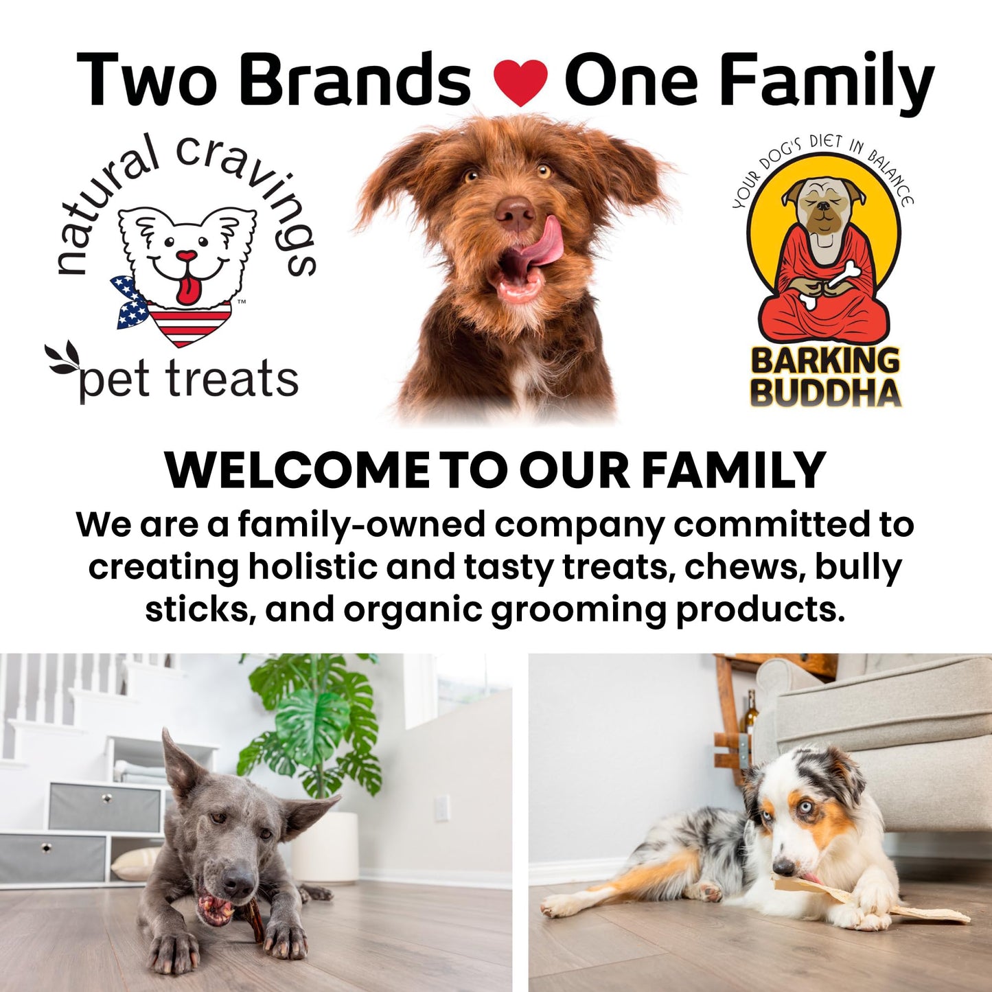 Natural Cravings: Chicken Breast Strips - 10 oz - Dog Treats, Single Ingredient, High Protein Snack, Breakable for Training Rewards, No Preservatives