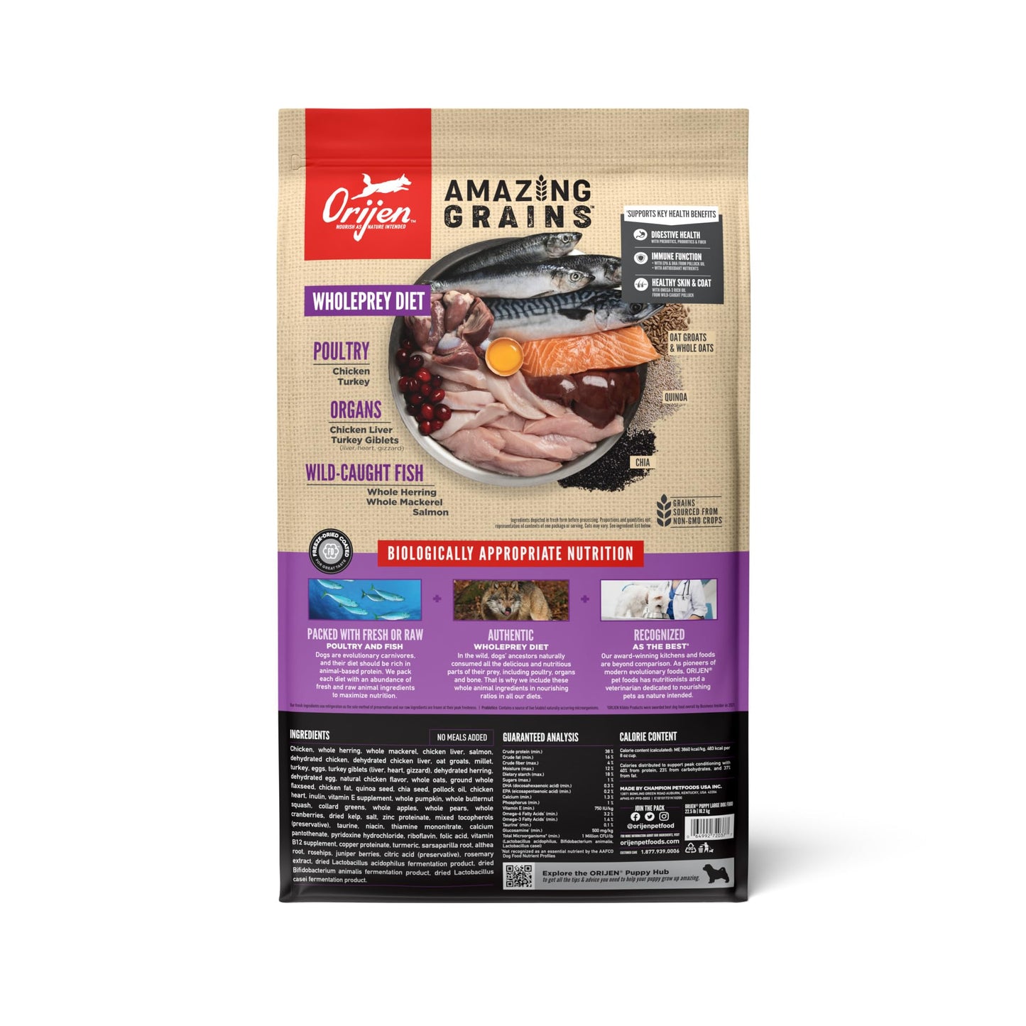 ORIJEN Amazing Grains High Protein Dry Dog Food Puppy Large Breed Recipe 22.5lb Bag