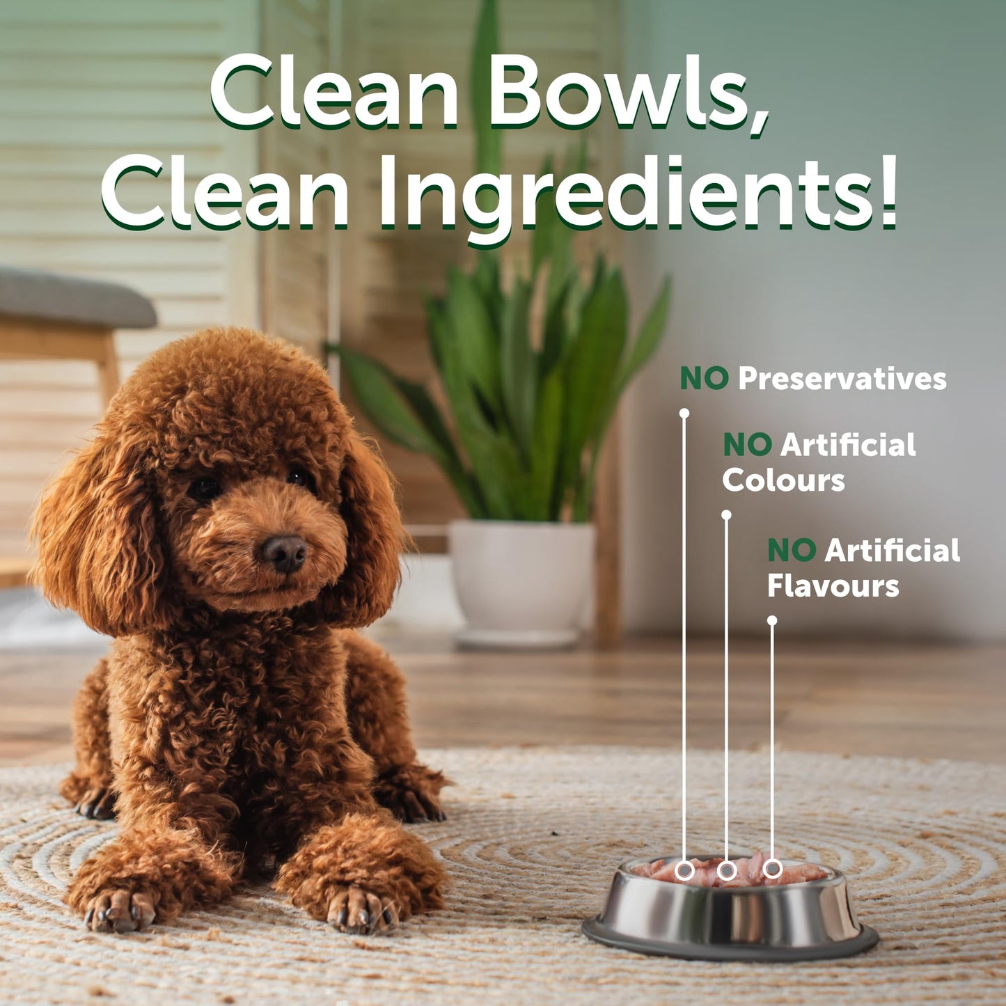 Nature's Protection Wet Dog Food Pouches for Small & Large Breed - High Protein, 24-Pack Soft Dog Food Toppers for Adult Red Fur Dogs (Superior Care - Tuna Fish, 2.46-oz)