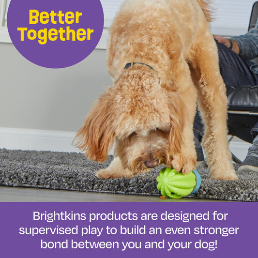 WOLNOBK Interactive Dog Toys for Large Dogs,Cat Toys for Bored Indoor Adult Cats,Smart Medium Small Dog Puzzle Toy to Keep Them Busy,Slow Feeder Dog Bowls Training Puppy Essentials Pet Gifts