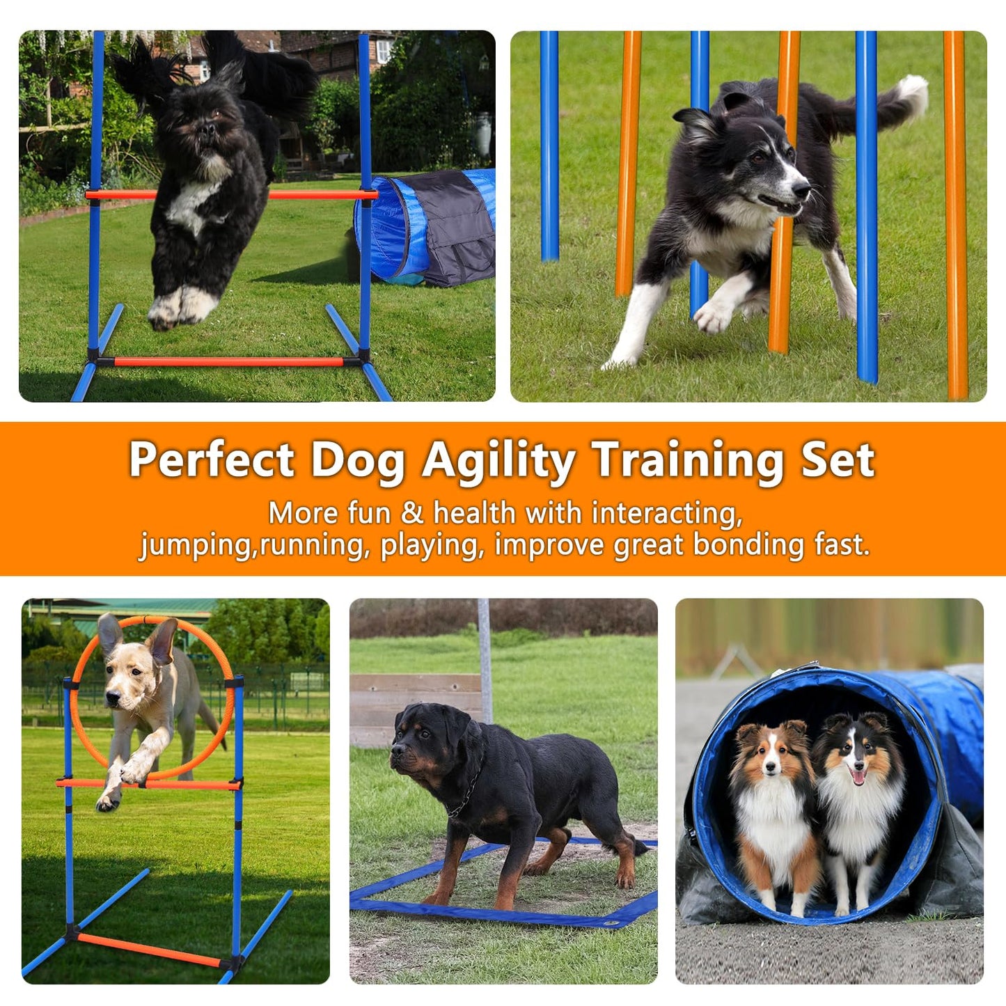 Dog Agility Training Equipment Set Outdoor Indoor Game, Tire Jump + Hurdle Jump, Tunnel, Weave Poles, Pause Box, 2 Toy Balls, 2 Flying Discs, 1 Whistle, 1 Bag, Backyard Premium Dog Obstacle Course Kit
