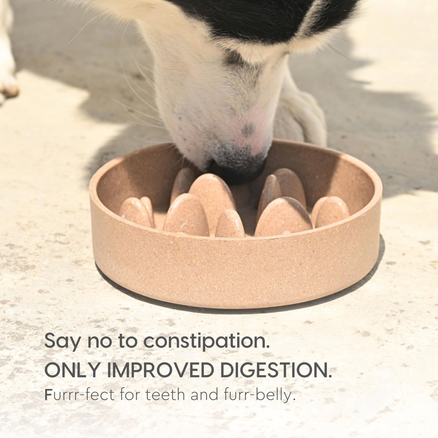Eha Earth-Friendly Slow Feeder for Dogs | Dog Bowl Medium | 800 ml | Pet Bowl Made with Rice Husk and Bamboo Fibers | Dog Food Bowl | 1 Unit | Tortilla