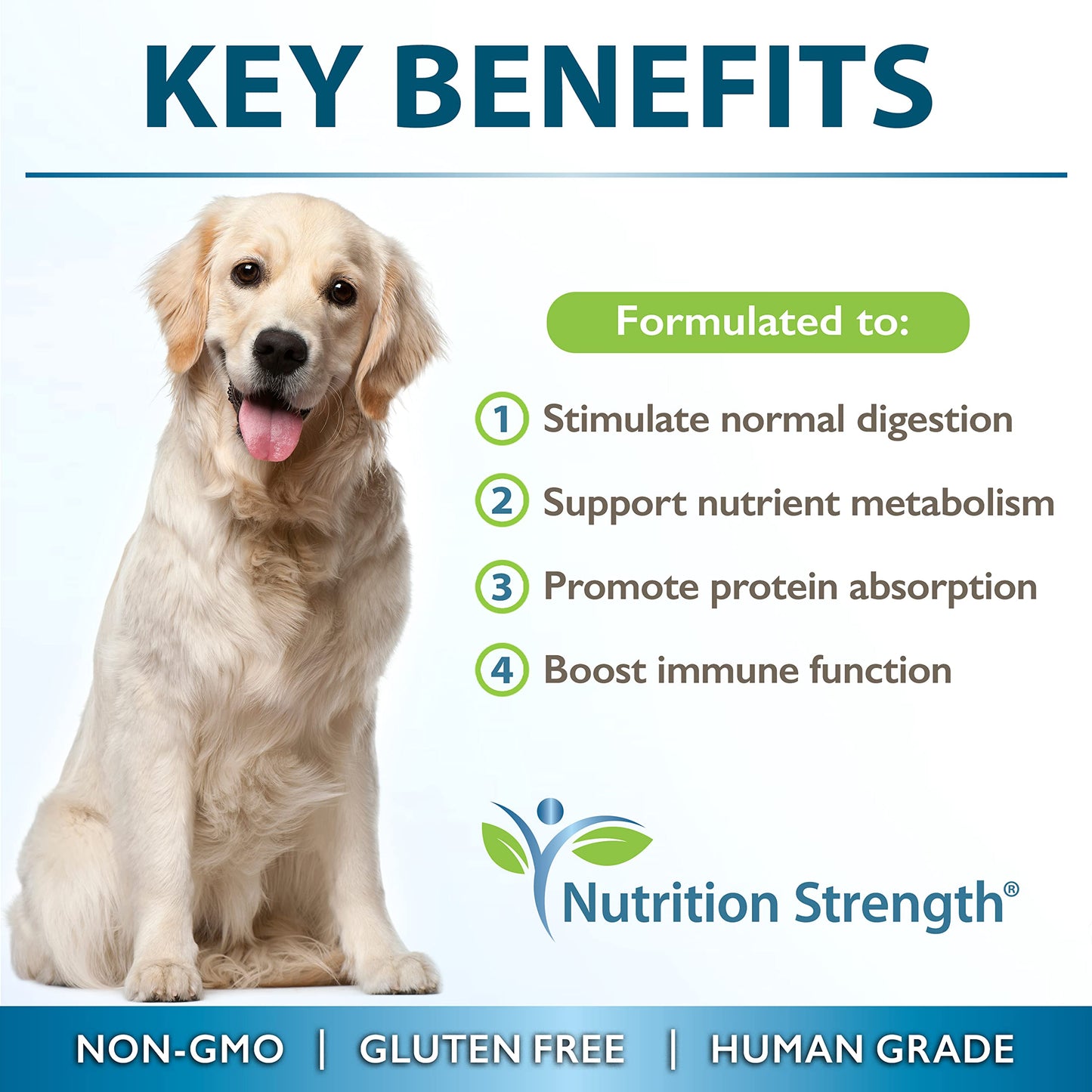 Nutrition Strength Papaya for Dogs Digestive Enzyme Complex to Support Normal Intestinal Function, Boost Immunity, with Organic Papaya Fruit + Papain, Protease & Amylase, 90 Soft Chews