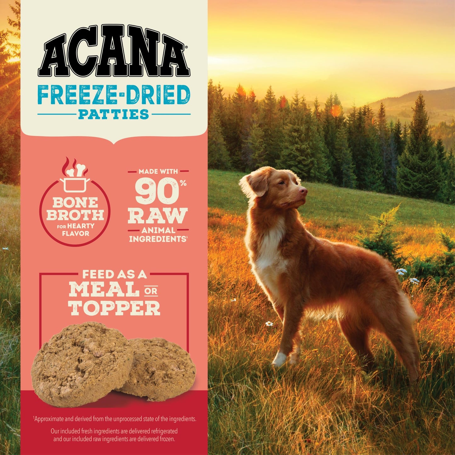 ACANA Grain-Free High Protein Freeze Dried Dog Food & Topper Ranch-Raised Beef Recipe Patties 14oz Bag