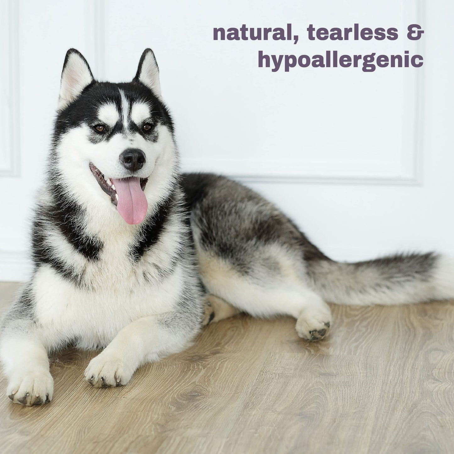 Mighty Mutt Shed Control Shampoo – Deshedding Dog Shampoo | Fresh Scent | Softens & Nourishes Coat | Reduces Shedding | Hypoallergenic, Anti-itch Dog Shampoo Shedding Control – Fresh Breeze | 16 fl oz