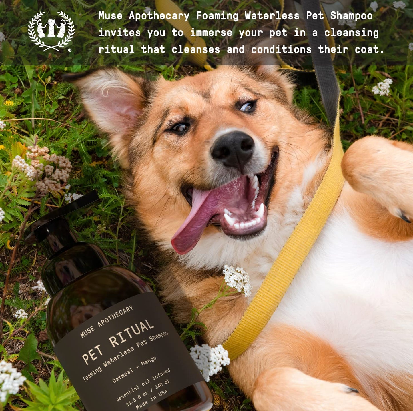 Muse Apothecary Pet Ritual Foaming Waterless Shampoo for Dogs, Waterless Dog Shampoo Foam, No Rinse Dog Shampoo, Waterless Dog Shampoo for Large Dogs - Essential Oils Infused, 11.5oz Fresh Bouquet