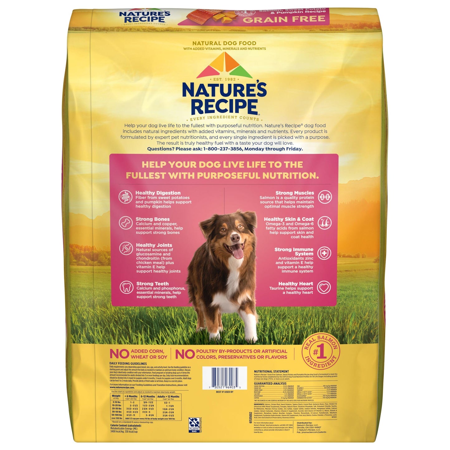 Nature's Recipe Grain Free Dry Dog Food, Salmon, Sweet Potato & Pumpkin Recipe, 34 lb. Bag