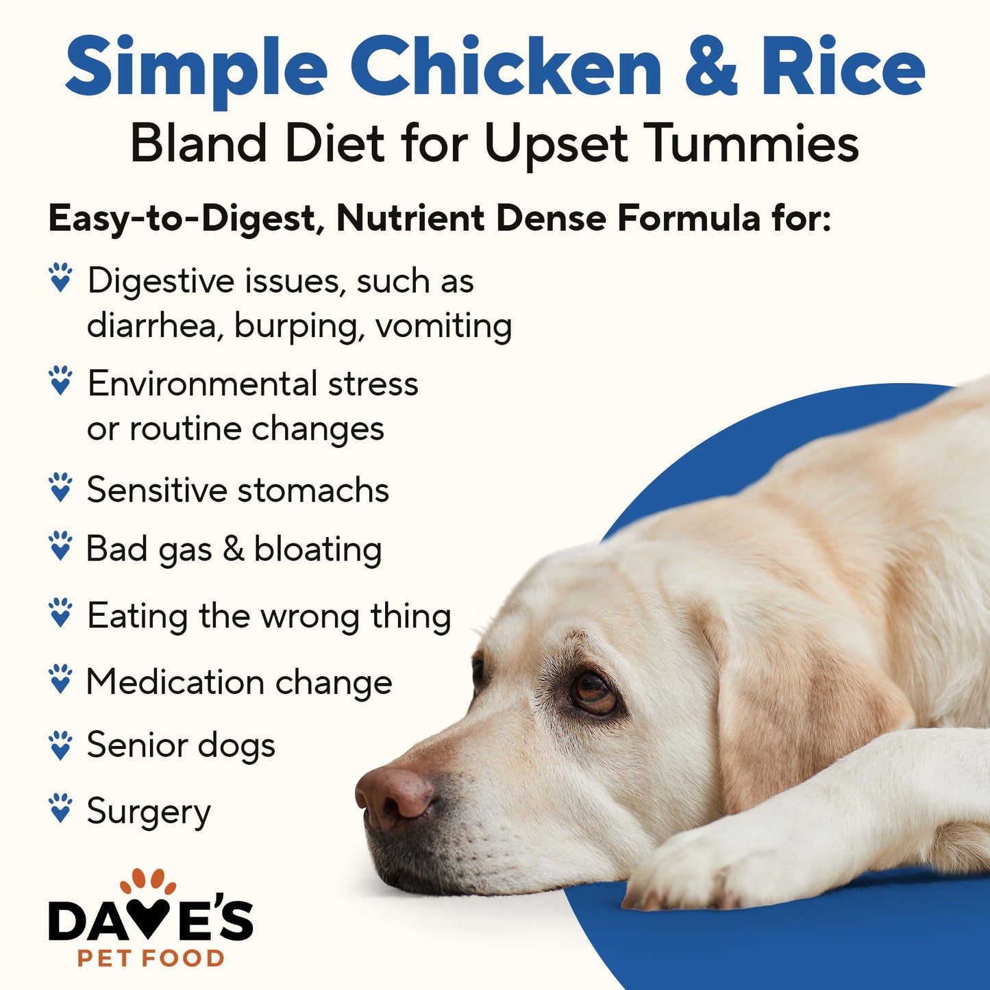 Dave's Pet Food Bland Diet Dog Food (Chicken & Rice), Sensitive Stomach, Easy to Digest, Gluten-Free, Digestive Care, Wet Canned, 13.2 oz (Case of 12)