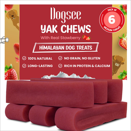 Dogsee Strawberry Flavor Himalayan Yak Cheese Dental Chews for Dogs 1lb (Medium - 6 Chews) | for Healthy Skin & Coat | No Grain, No Gluten | Odorless Dog Treats…