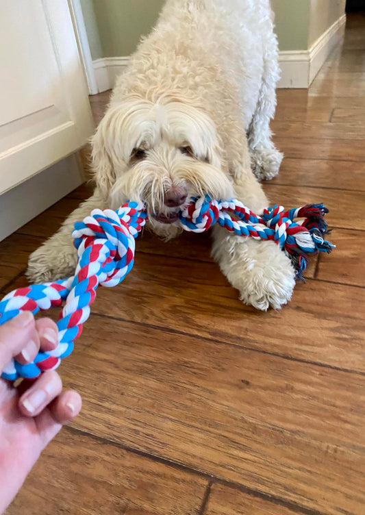 2 Pack Red - XL Dog Rope Toy for Aggressive Chewers - Benefits Non-Profit Dog Rescue - Tug of War Dog Toy, Dog Toys for Large Dogs, Tough Dog Toys for Aggressive Chewers
