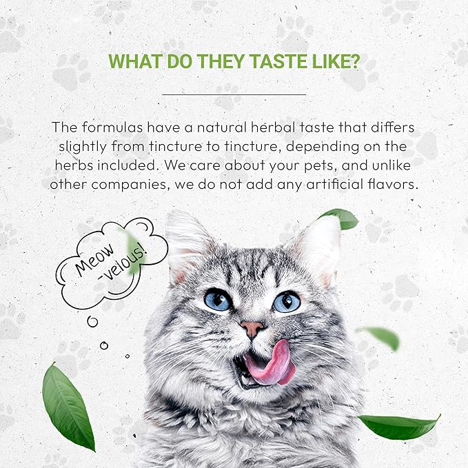 Lion's Anxiety | Natural Herbal Dietary Supplement for Cats | Support Stress Relief in Cats | Alcohol-Free Extract, Chamomile, Lemon Balm, Lavender, Linden, Fennel 2 oz