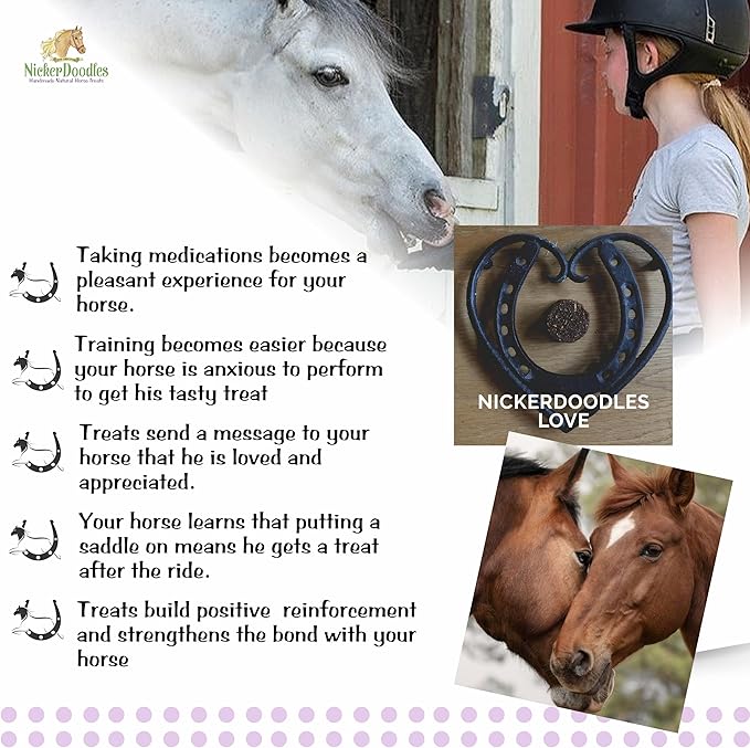 Horse Treats - 1 lb Pail - Effortlessly Give Medications with Our Soft Baked Treats - Training Treats are The Perfect Motivator - No Additives or Preservatives