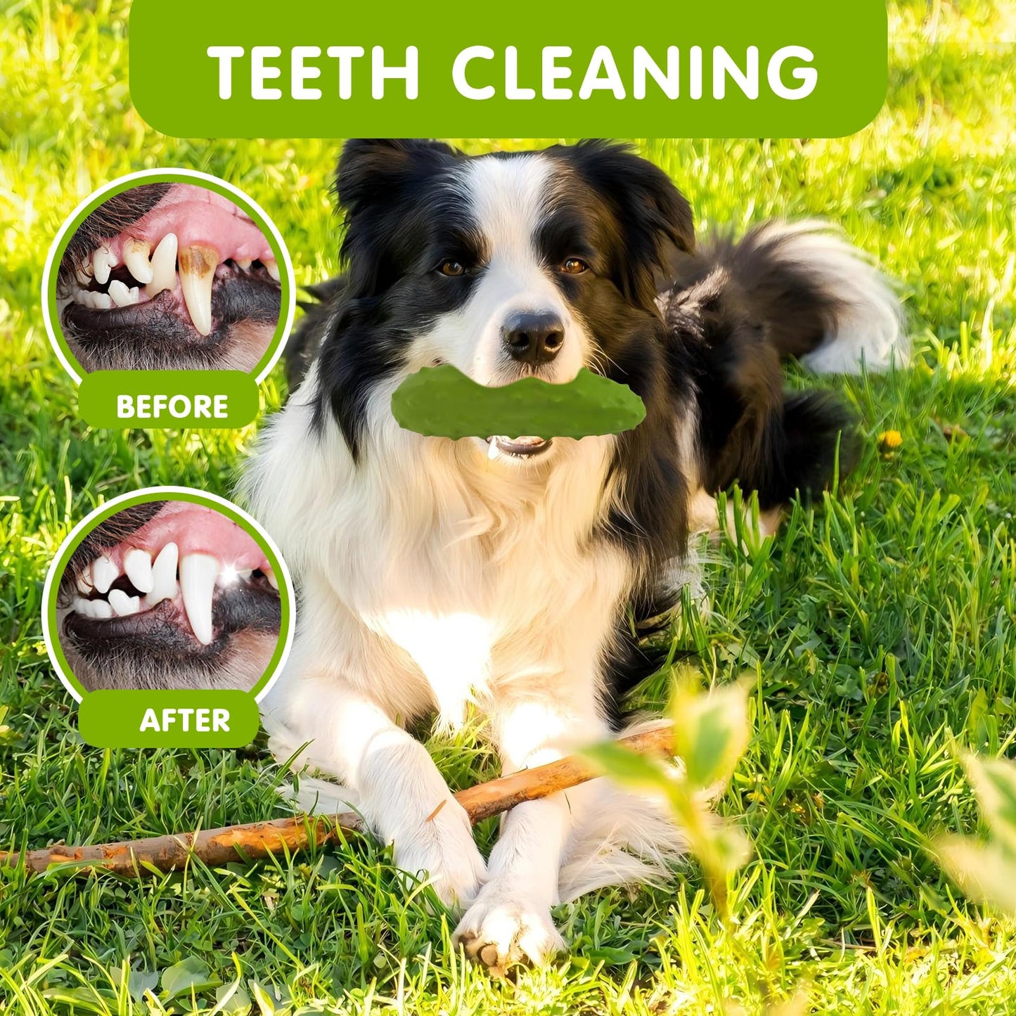 LIFLIX Tough Squeaky Dog Toys, Durable Dog Chew Toy with Natural Rubber, Teething Toys for Medium Large Breeds, Cucumber Pickle Shape