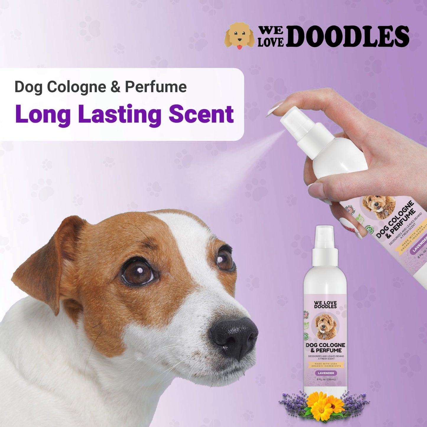 We Love Doodles Hypoallergenic Dog Shampoo and Dog Cologne - Organic Ingredients | Sensitive Skin & Allergies | Long Lasting After Bath Deodorant | Odor Eliminator Spray Puppies | Made in USA