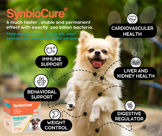 Synbiocure I Probiotics & Prebiotics for Dogs I Powder Dog Supplement I Digestive Health Support I 200 Billion Bacteria Per Sachet I 30 Sachets*2 g