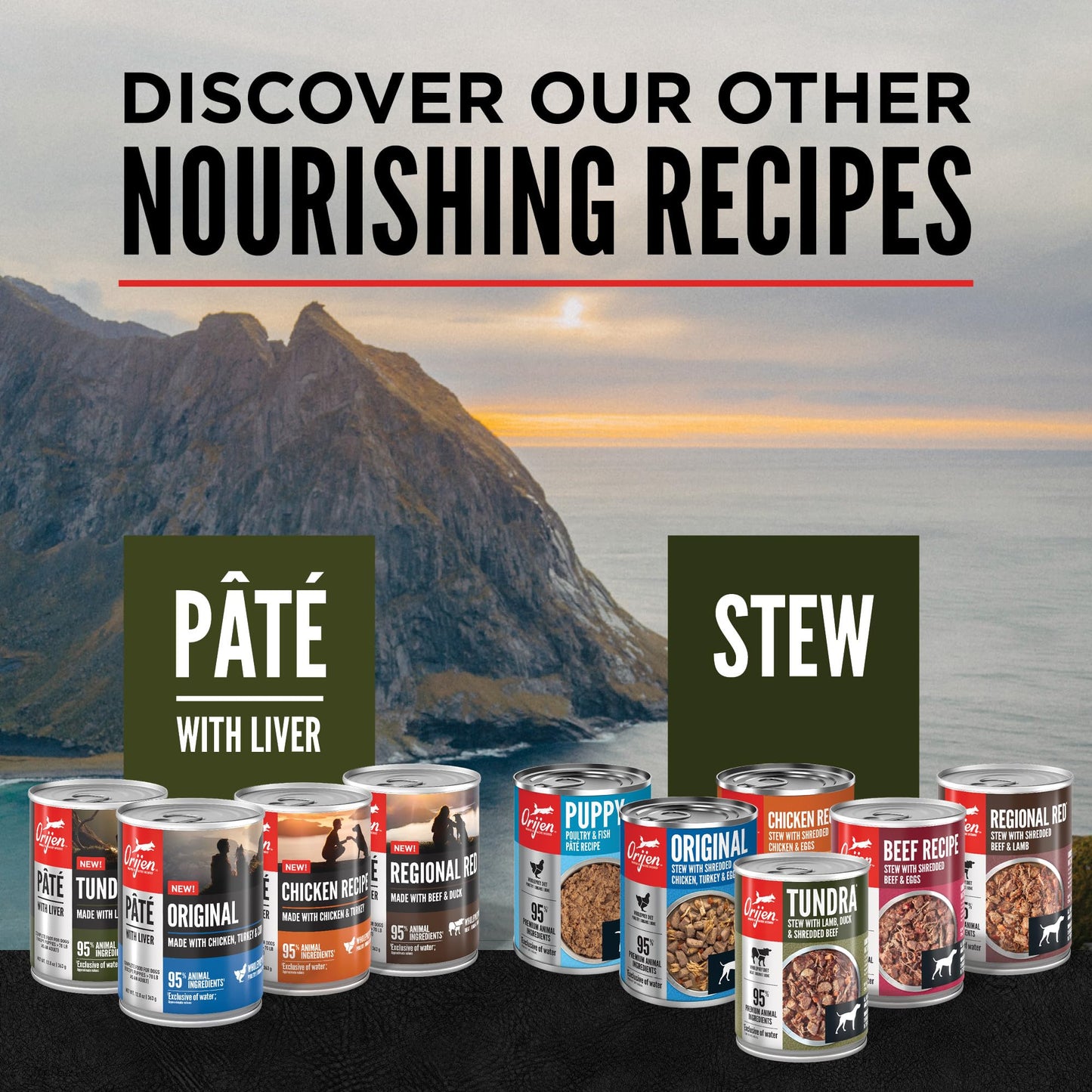 ORIJEN Real Meat Shreds Wet Dog Food Beef Stew Recipe 12.8oz Cans (12 Count)